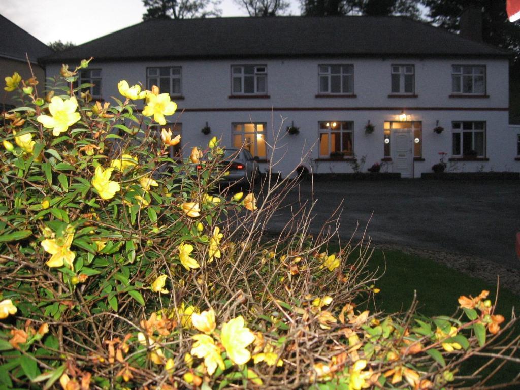 Woodlawn House Hotel Killarney Exterior foto
